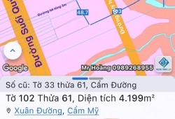 BÁN NHANH THỬA ĐẤT ĐẸP 4.200m² – NGAY TRUNG TÂM – TIỆN ÍCH BAO QUANH Chỉ 3 Tỷ/Sào