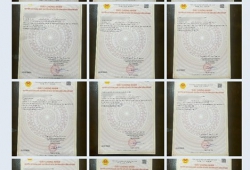 BÁN GẤP – BÁN SỈ 12 SỔ THỔ CƯ TẠI LONG PHƯỚC – ĐỒNG NAI CHỈ 14 TỶ