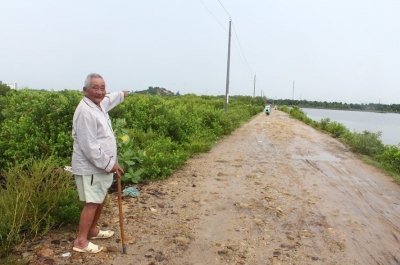Đất khai hoang có được cấp sổ đỏ không?