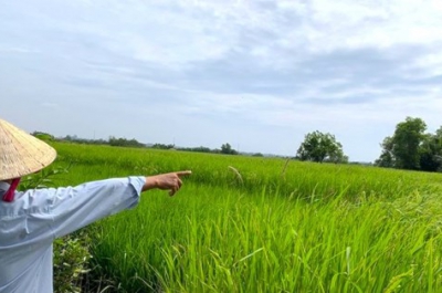 Thế nào là sử dụng đất ổn định? Căn cứ xác định sử dụng đất ổn định