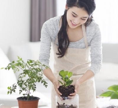 7 nguyên tắc phong thủy giúp gia chủ kéo vận may vào nhà trong năm 2022