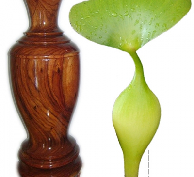 Lựa chọn kích thước Lục Bình theo phong thủy