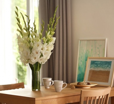 Ý nghĩa và cách cắm hoa lay ơn ngày Tết