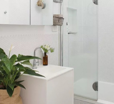 5 loại cây khử mùi nhà vệ sinh hiệu quả