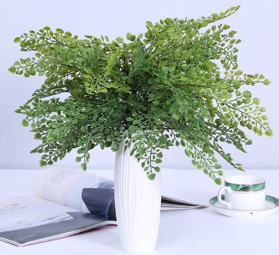 Ý nghĩa phong thủy cây tóc thần vệ nữ