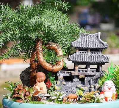 Tuổi Ngọ hợp cây gì? Cách chọn cây phong thủy theo từng năm sinh